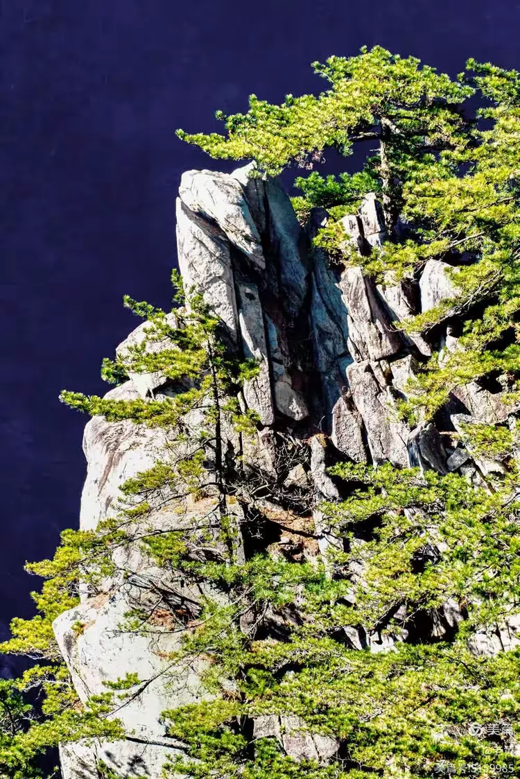 《华东最后一片原始森林》 大别山"天堂寨"行摄记 2023.11.20